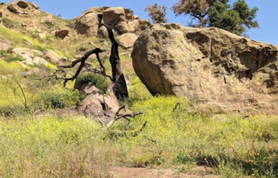 corriganville_terrain.png